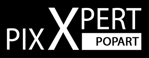 Logo_pix X pert_Popart