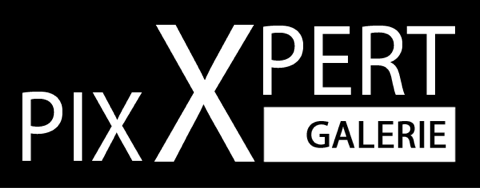 Logo_pix X pert Galerie